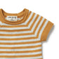 Golden Wave Stripe Organic Knitted Set