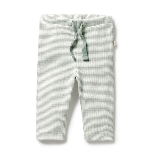 Organic Stripe Rib Legging - Fern
