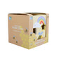 Buzzy Days Shape Sorter