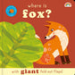 Where is Fox?