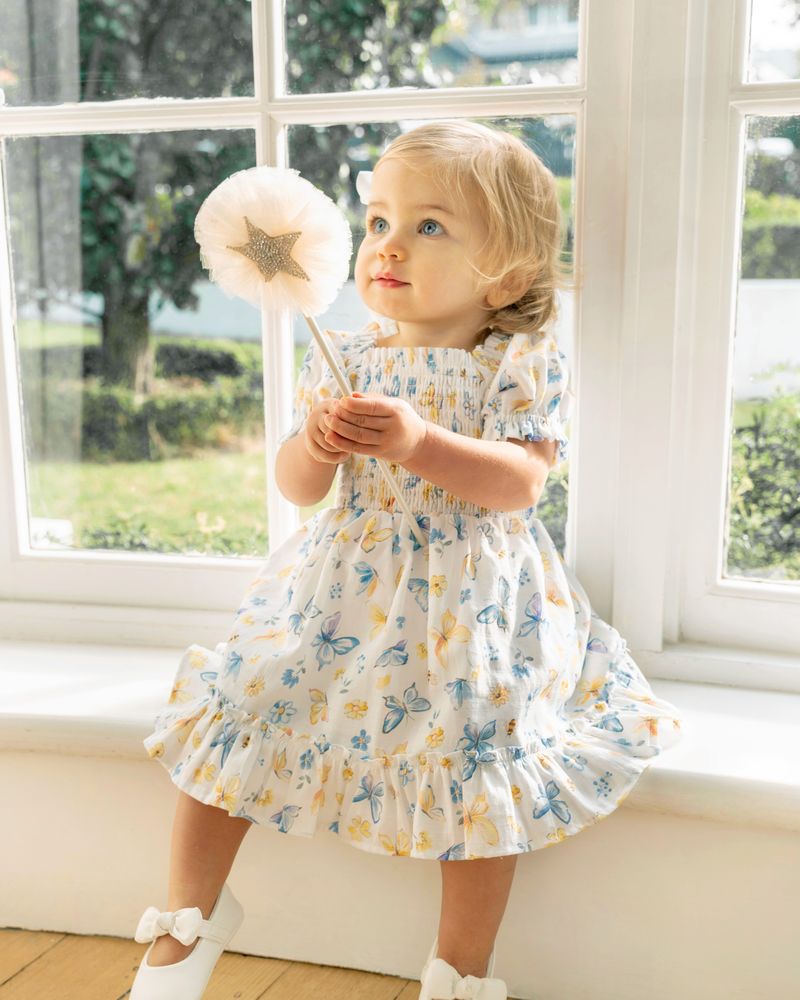 Libby Butterfly Print Dress