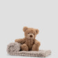 Soft Plush Toy & Blanket - Willow Bear