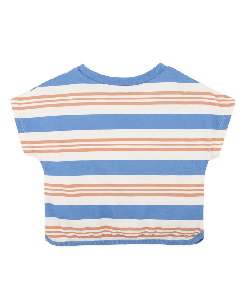 Phoenix Tee - Phoenix Stripe