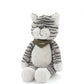 Chloe The Cat