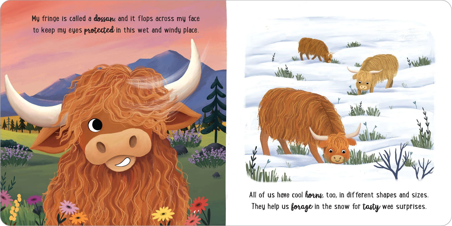 Padded Board Book - I Love Being a Highland Cow