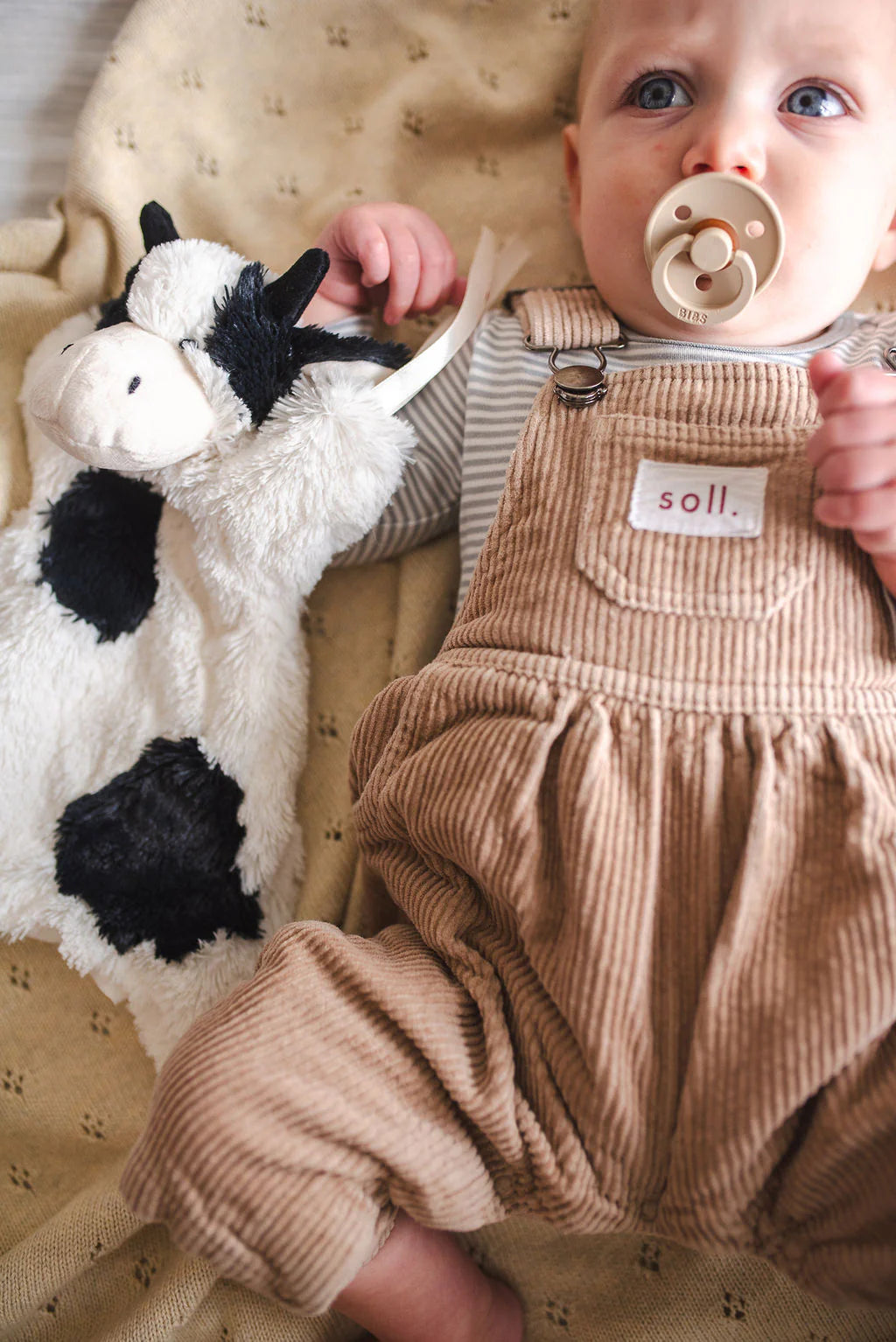 Clover  The Cow Hoochy Coochie - Black