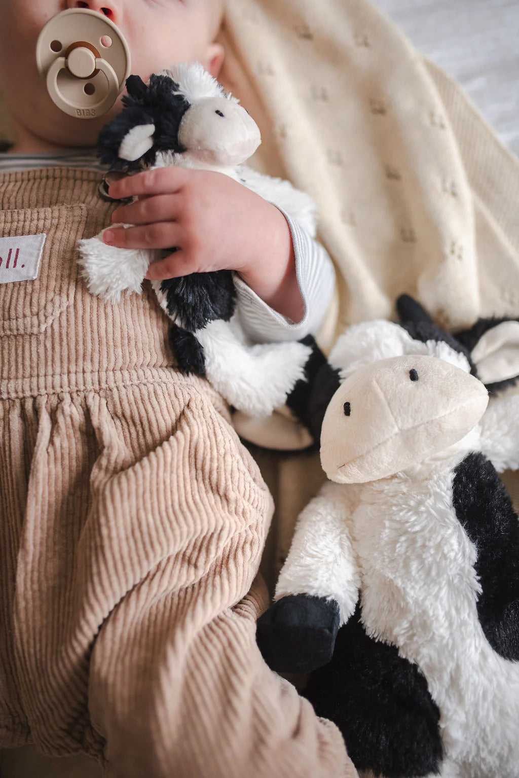 Clover  The Cow Hoochy Coochie - Black