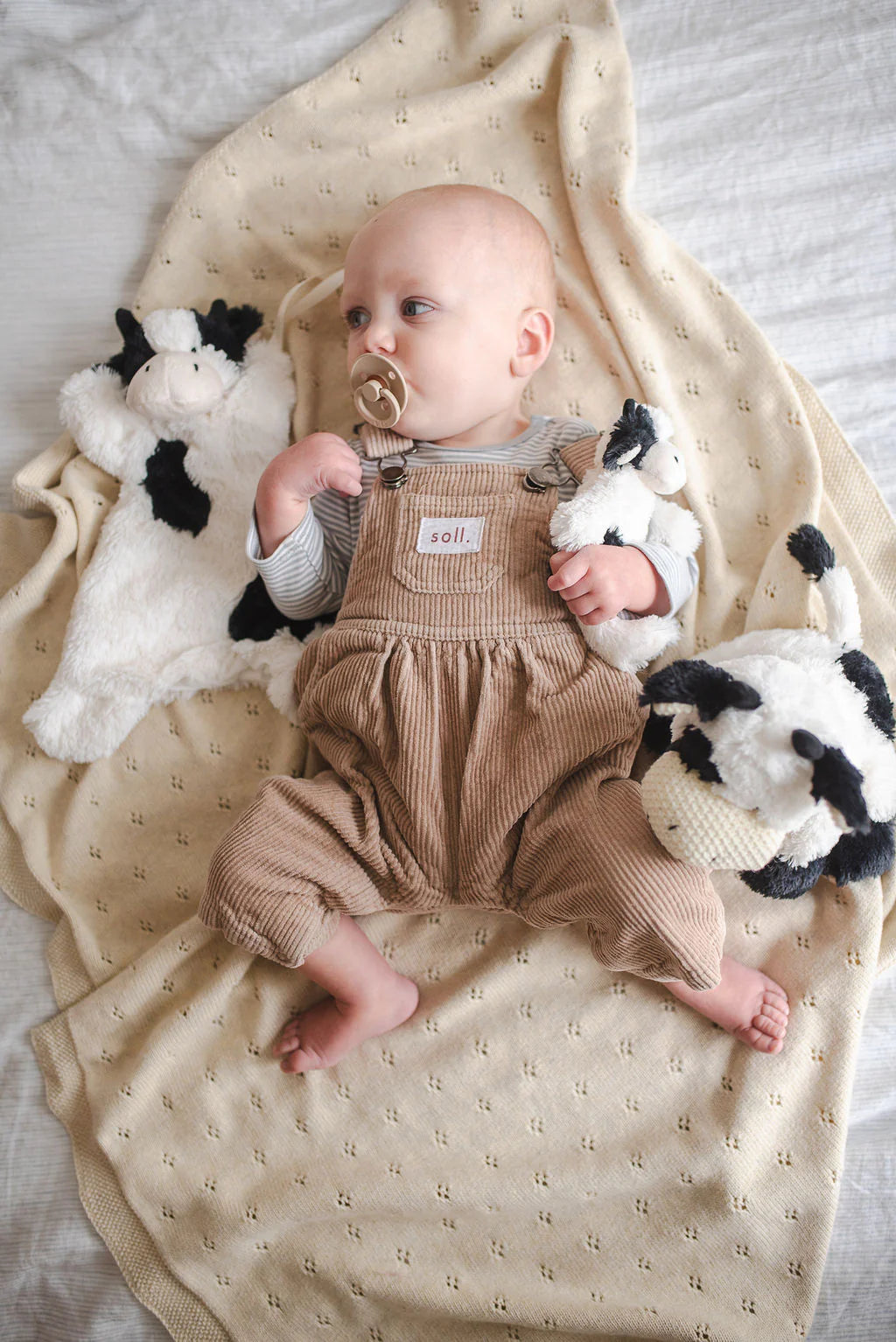 Clover  The Cow Hoochy Coochie - Black