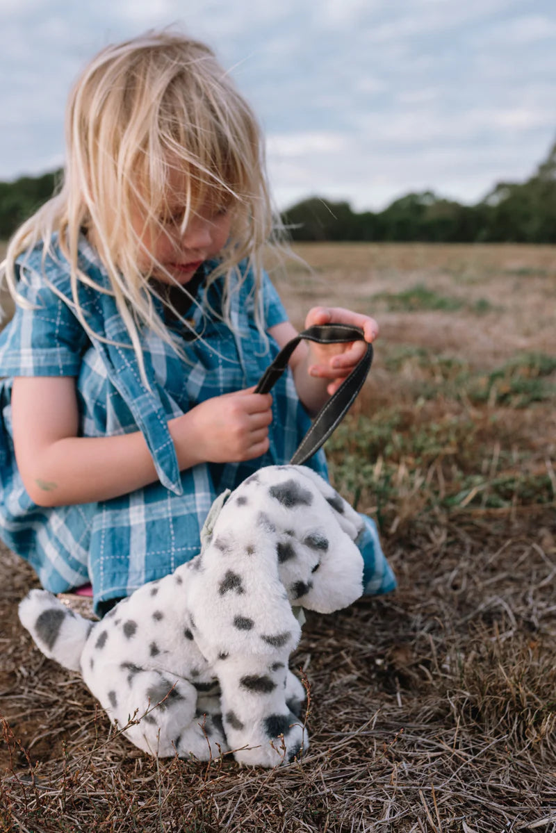 Debbie the Dalmation
