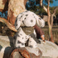 Debbie the Dalmation