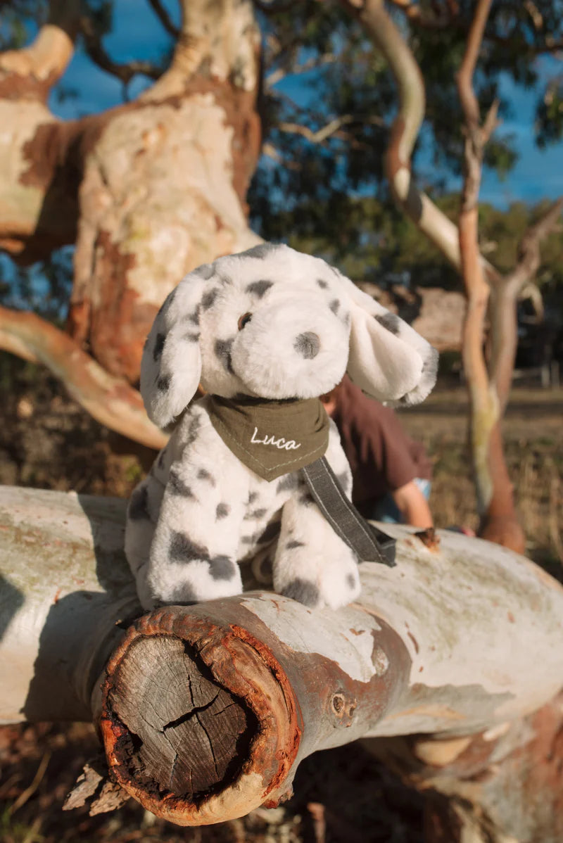 Debbie the Dalmation
