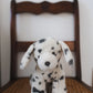 Debbie the Dalmation