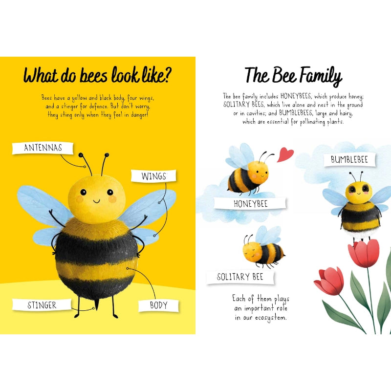 Magic Water Puzzle & Book Set - Bees