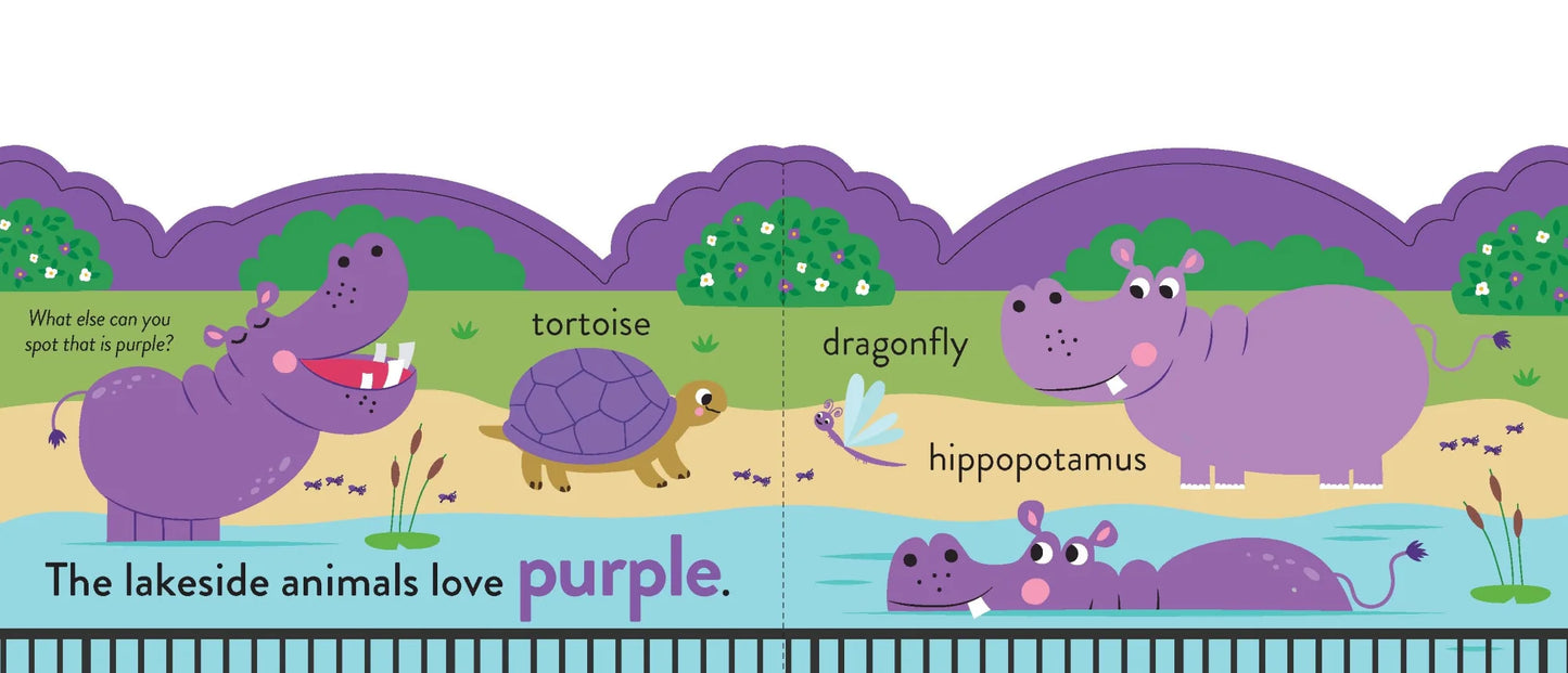 Chunky Scenes Board Book - My First Colours at the Zoo