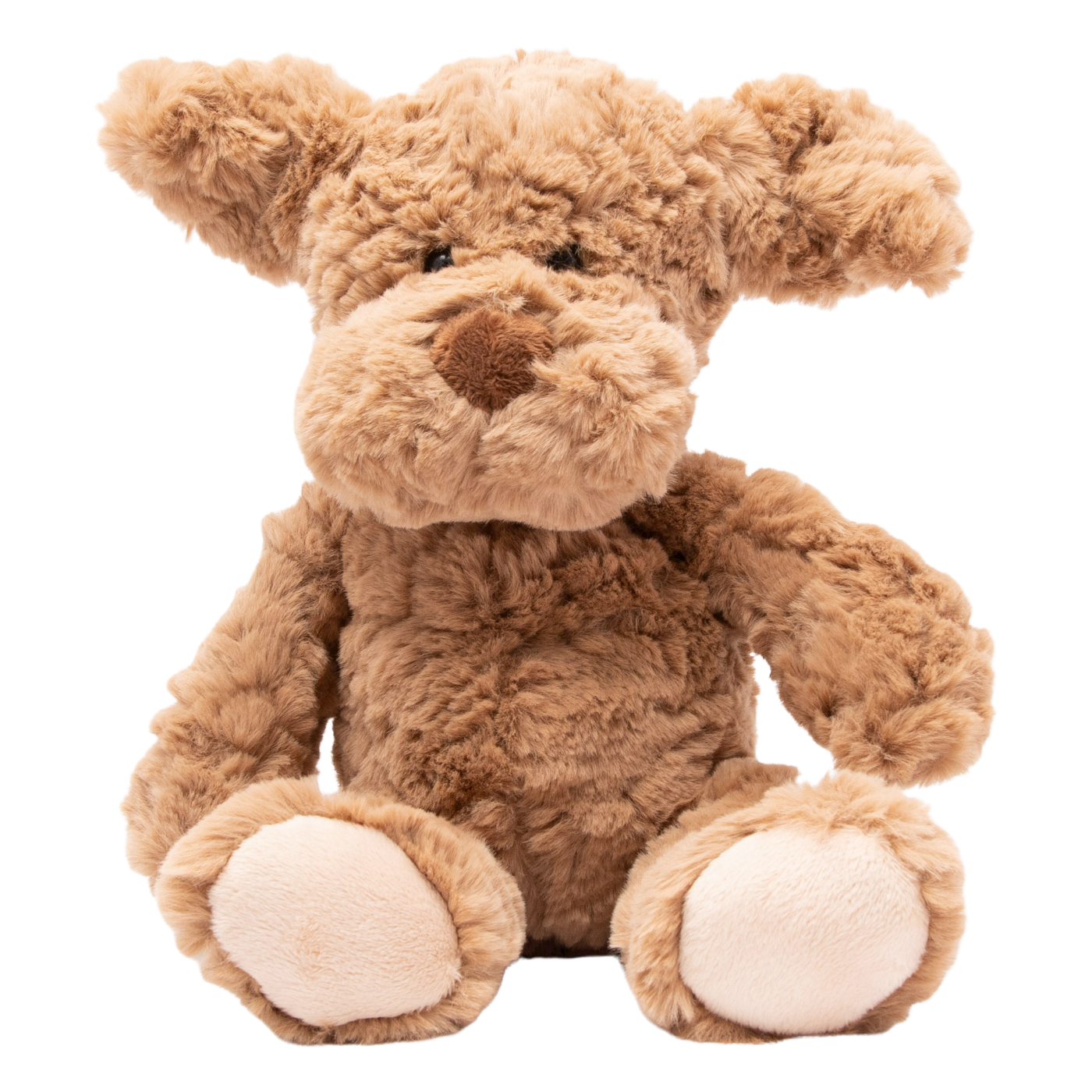 Barney The Brown Dog