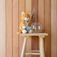 Ginger The Cat