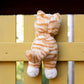 Ginger The Kitten