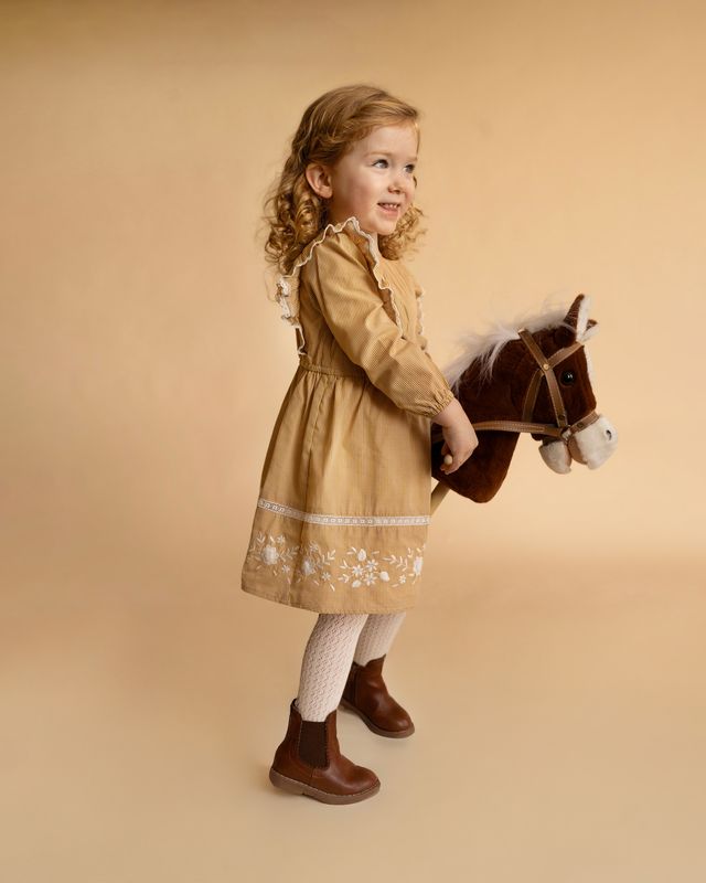 Winnie Emb. Gingham Dress - Mustard Check