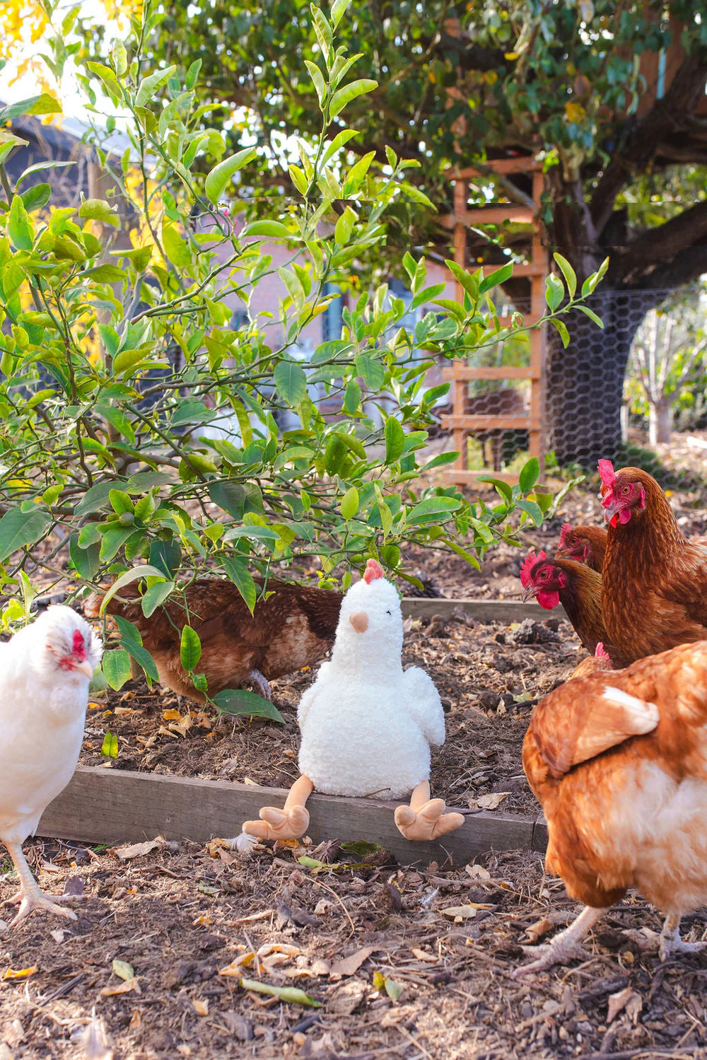 Henrietta the Hen Rattle (Cream)