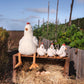 Henrietta the Hen Rattle (Cream)
