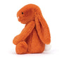 Bashful Tangerine Bunny - Medium