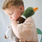Hugo the Mallard Duck