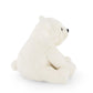 Parker The Pola Bear