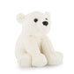 Parker The Pola Bear