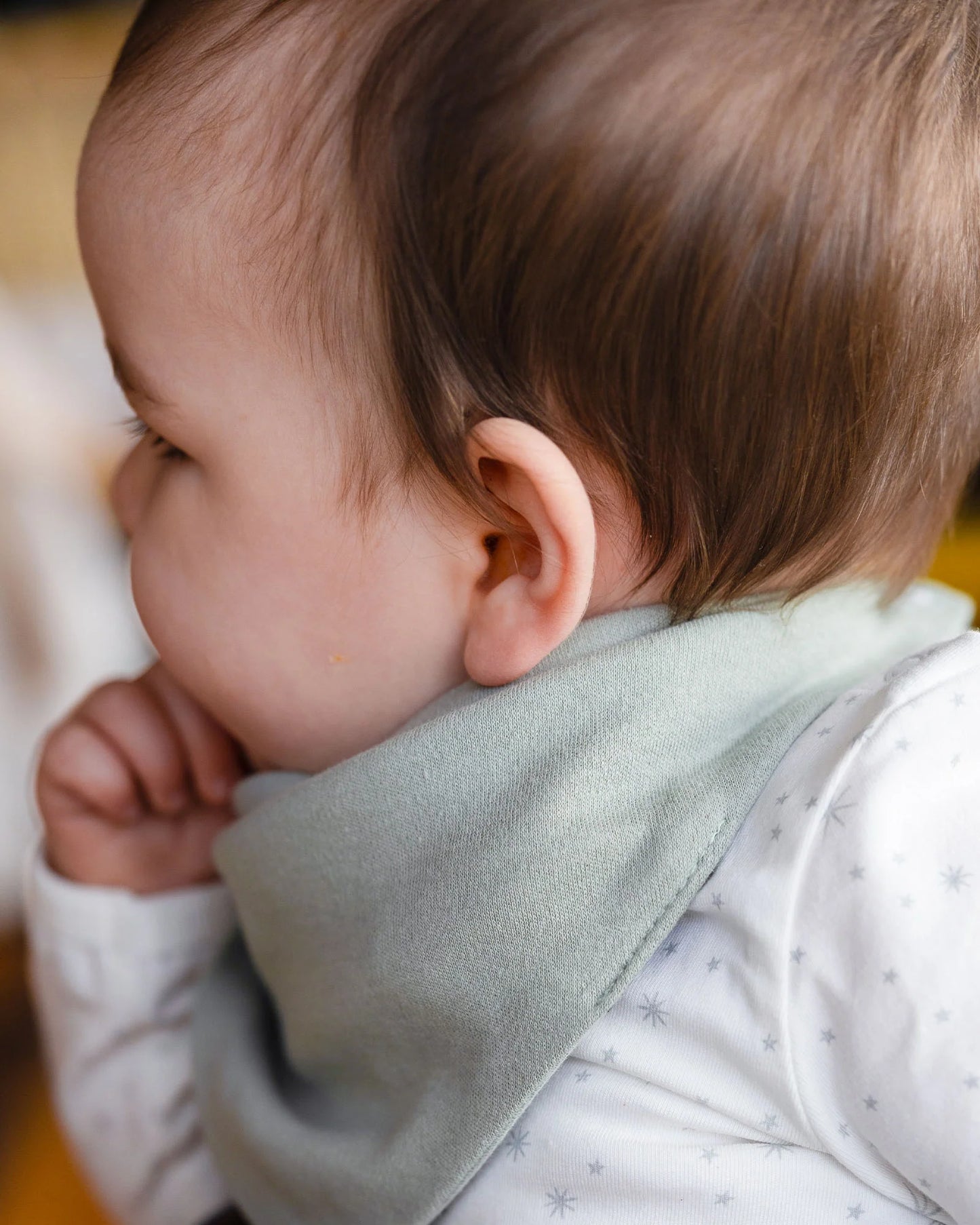 Jersey Bibs 2 Pack - Farmyard Lamb