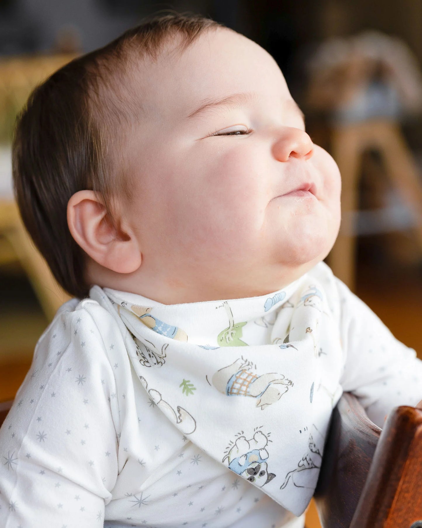 Jersey Bibs 2 Pack - Barklife Dog