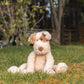 Buddy The Dog - Beige