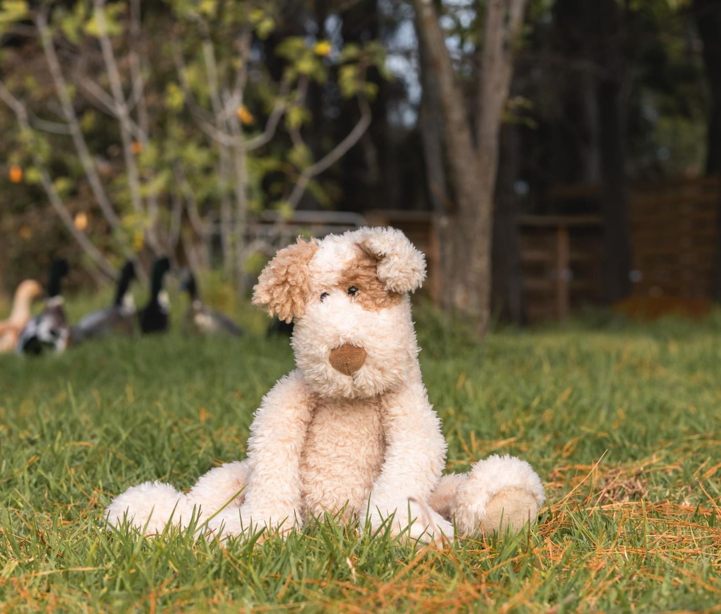 Buddy The Dog - Beige