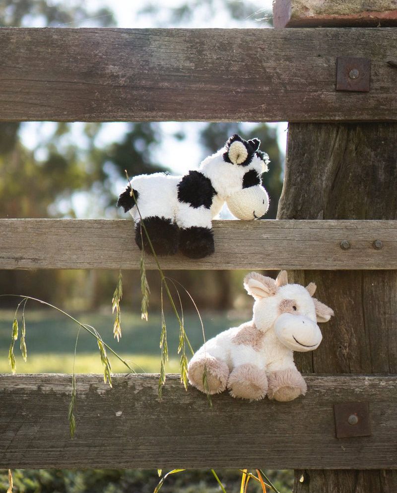 Coco The Cow - Black
