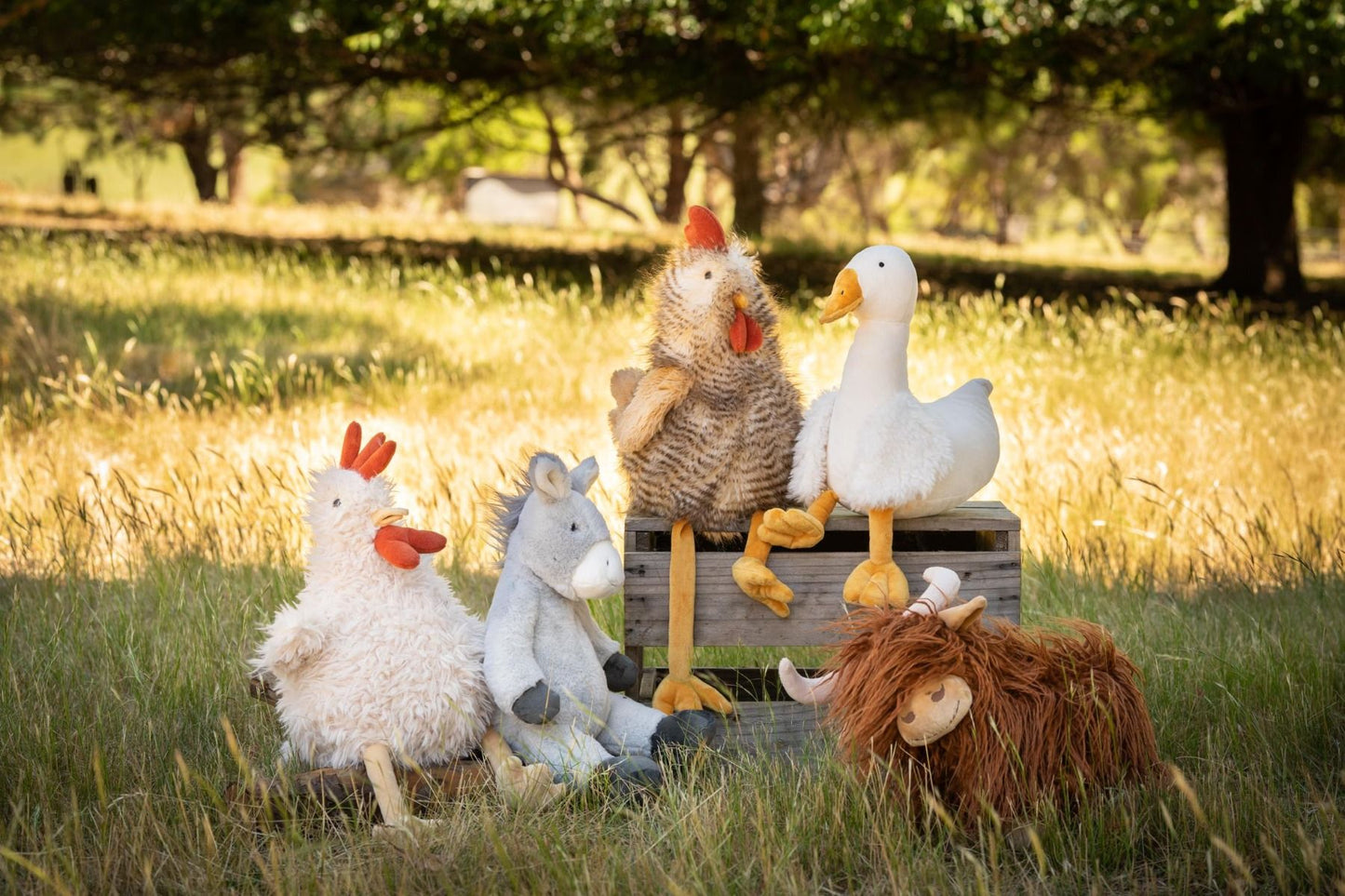 Rupert The Rooster
