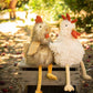 Rupert The Rooster