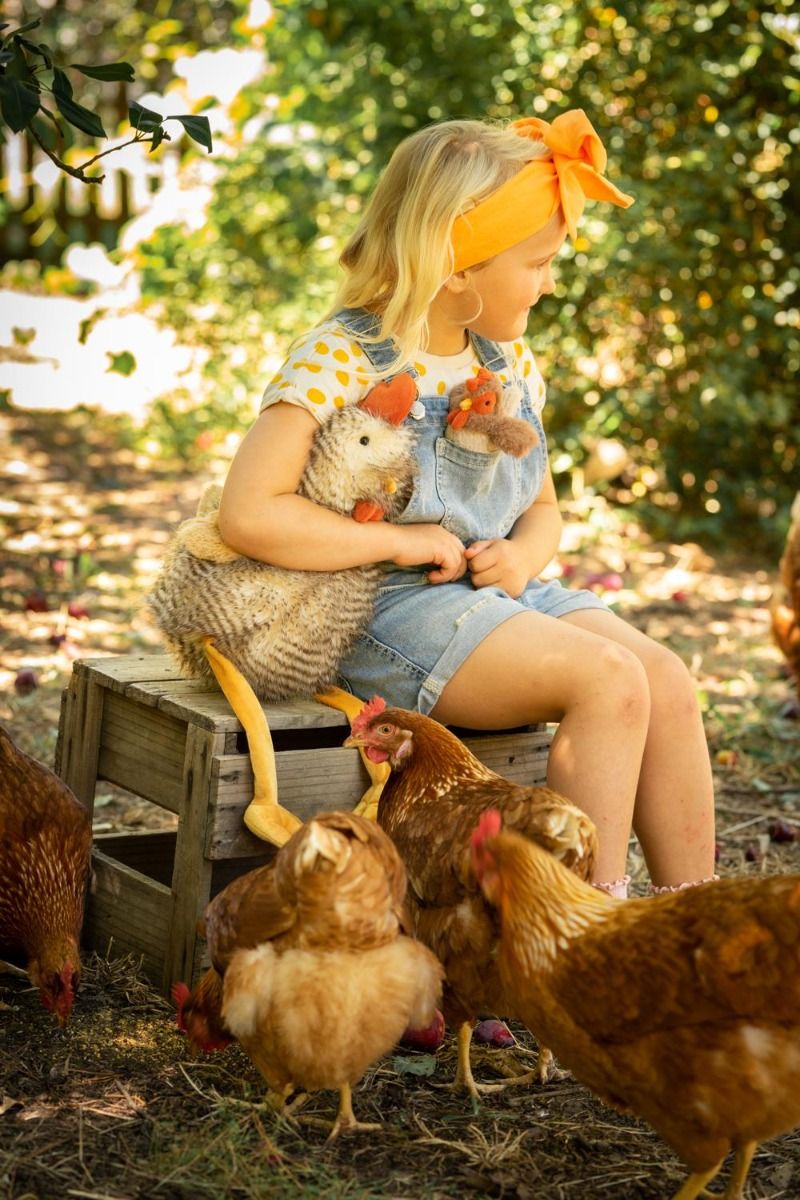 Rupert The Rooster