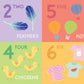 Padded Learning Book - My First Book of Numbers