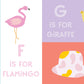 Padded Learning Book - My First Book of Alphabet