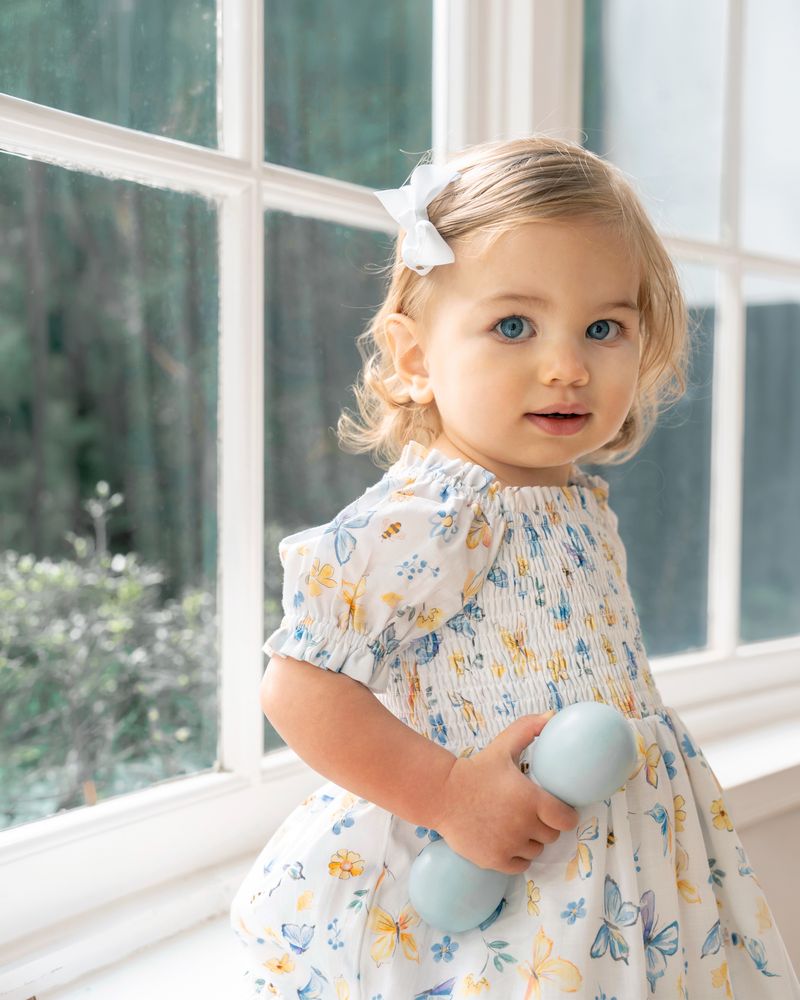 Libby Butterfly Print Dress