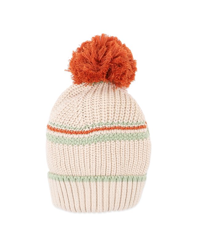 Stripe Knitted Beanie - Wild Side Stripe