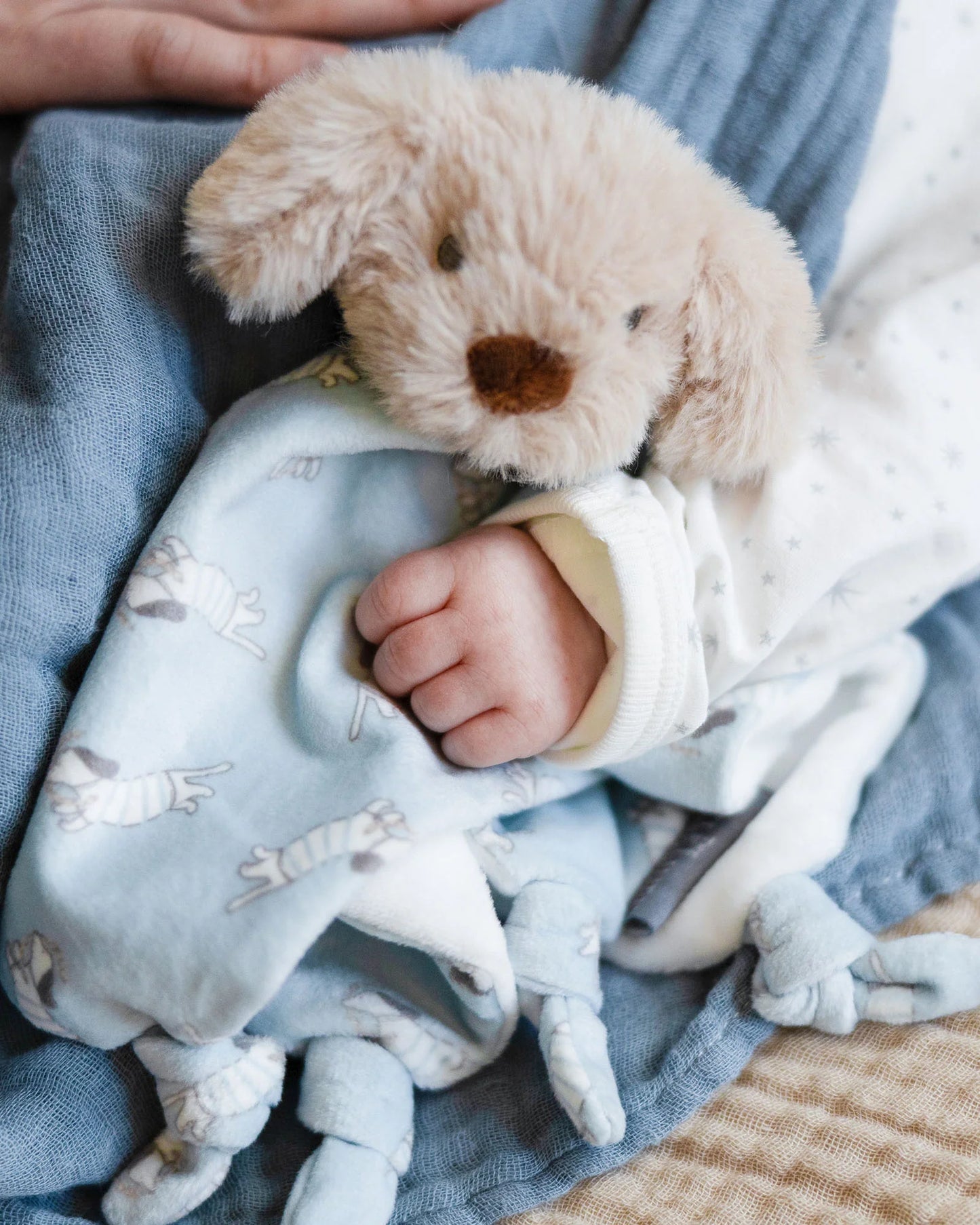 Lovie Comforter / Security Blanket - Barklife Dog