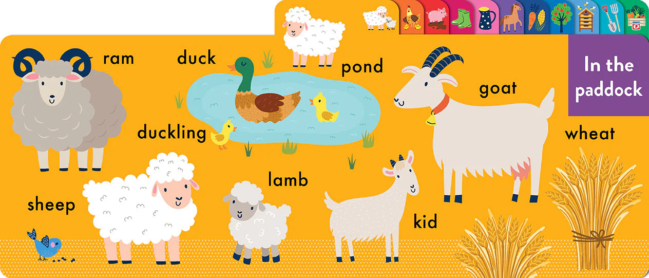 Chunky Board Book - On The Farm