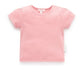 Pointelle Sht/Slv Tee - Papaya
