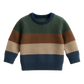 Forest Striped Jumper