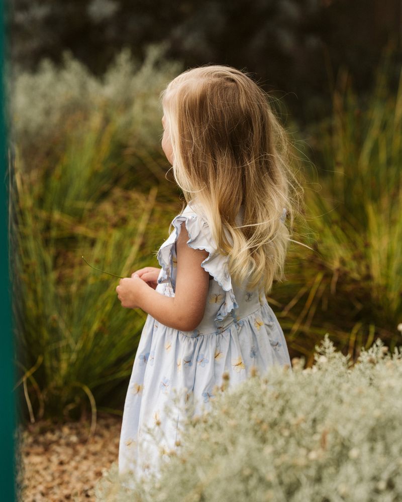 Libby Emb. Butterfly Dress - Pale Blue