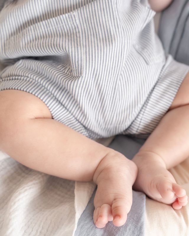 Brady Woven Overalls - Brady Stripe