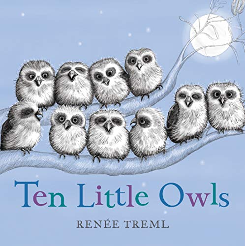 Ten Little Owls - Board Book