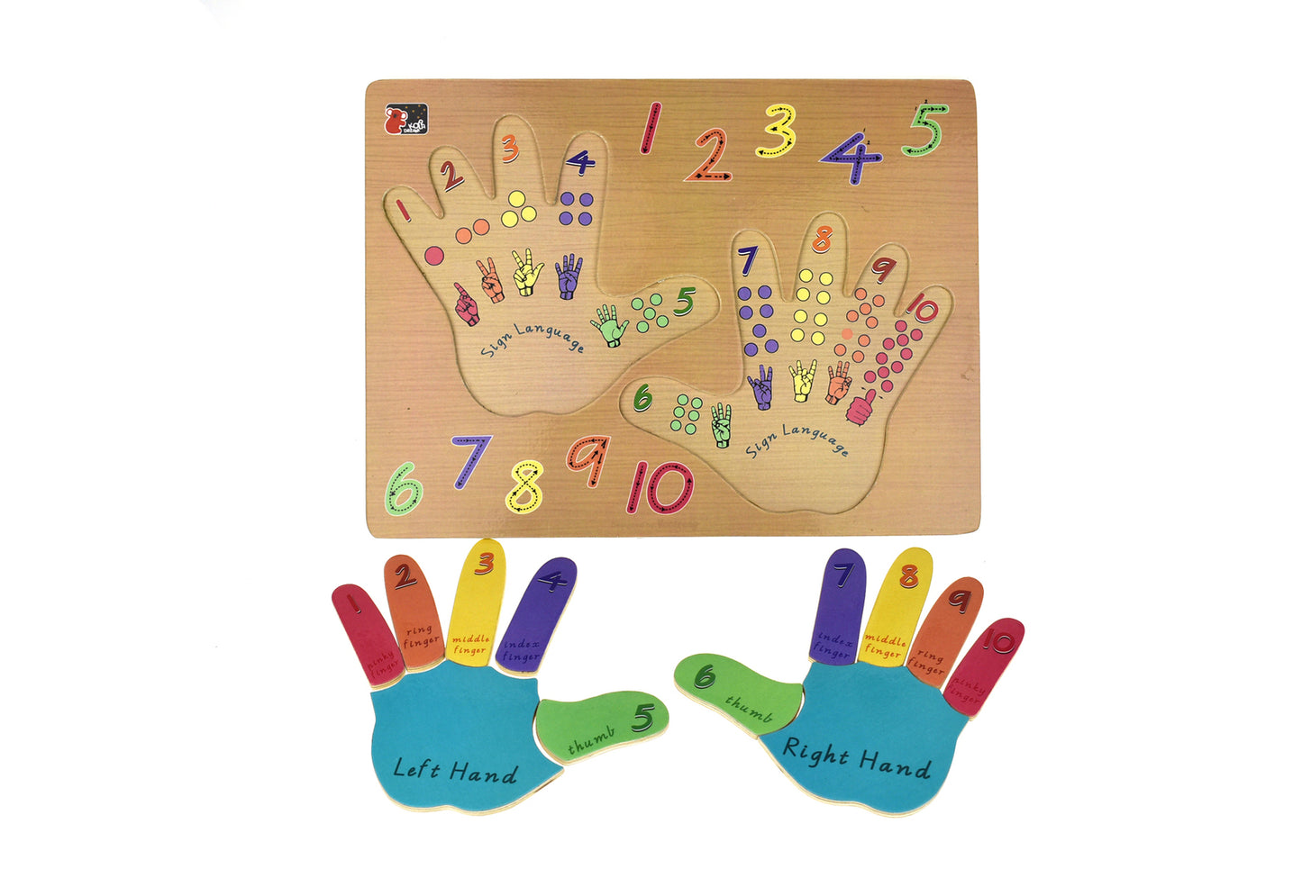 Left and Right Hand Puzzle