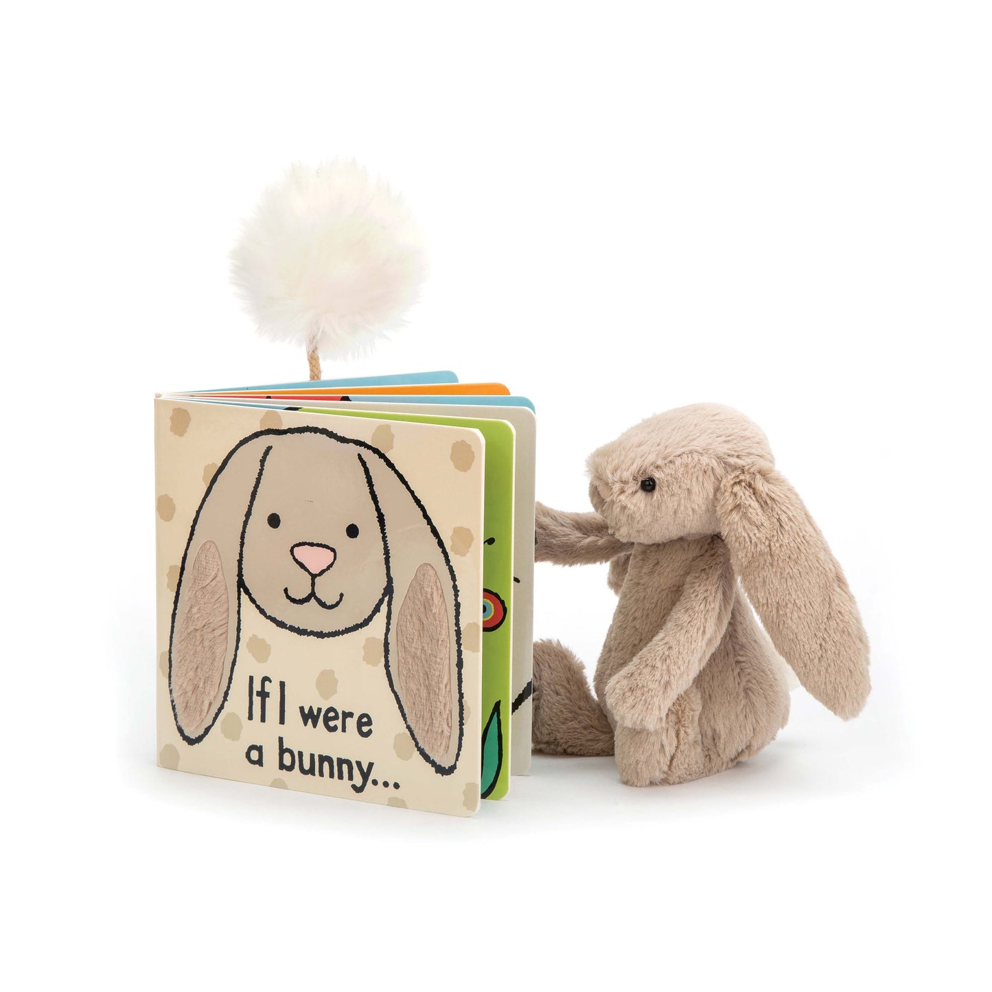 Book - If I Were A Bunny